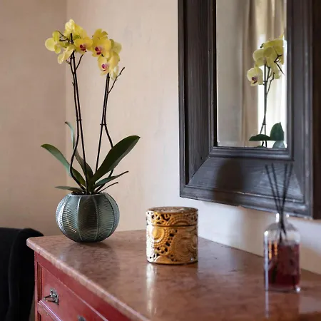 Mulino Morandi Villa Il Molinaccio
