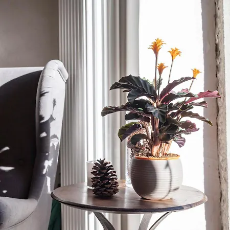 Mulino Morandi Villa *